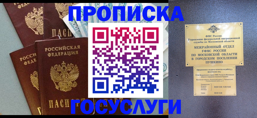 прописка гарантия в Сальске